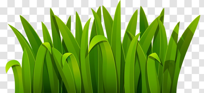 Green Cartoon Download - Plant Stem - Grass Transparent PNG