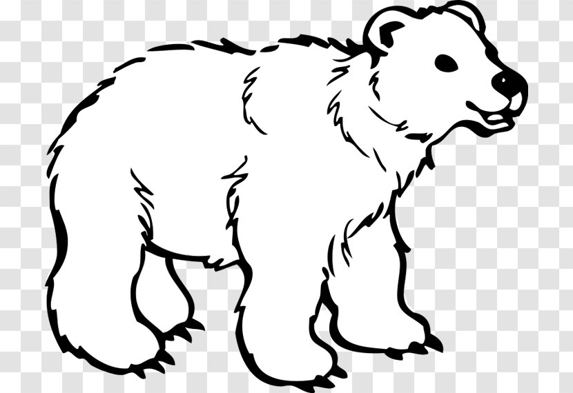 American Black Bear Polar Brown Color Bears - Cartoon Transparent PNG