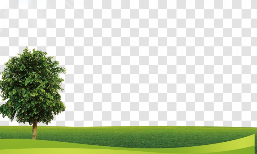Meadow - Tree - Pattern Transparent PNG