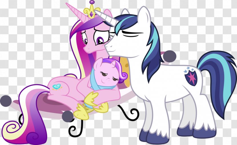 Princess Cadance Twilight Sparkle Pony Rainbow Dash Celestia - Cartoon - Couple Penguin Transparent PNG