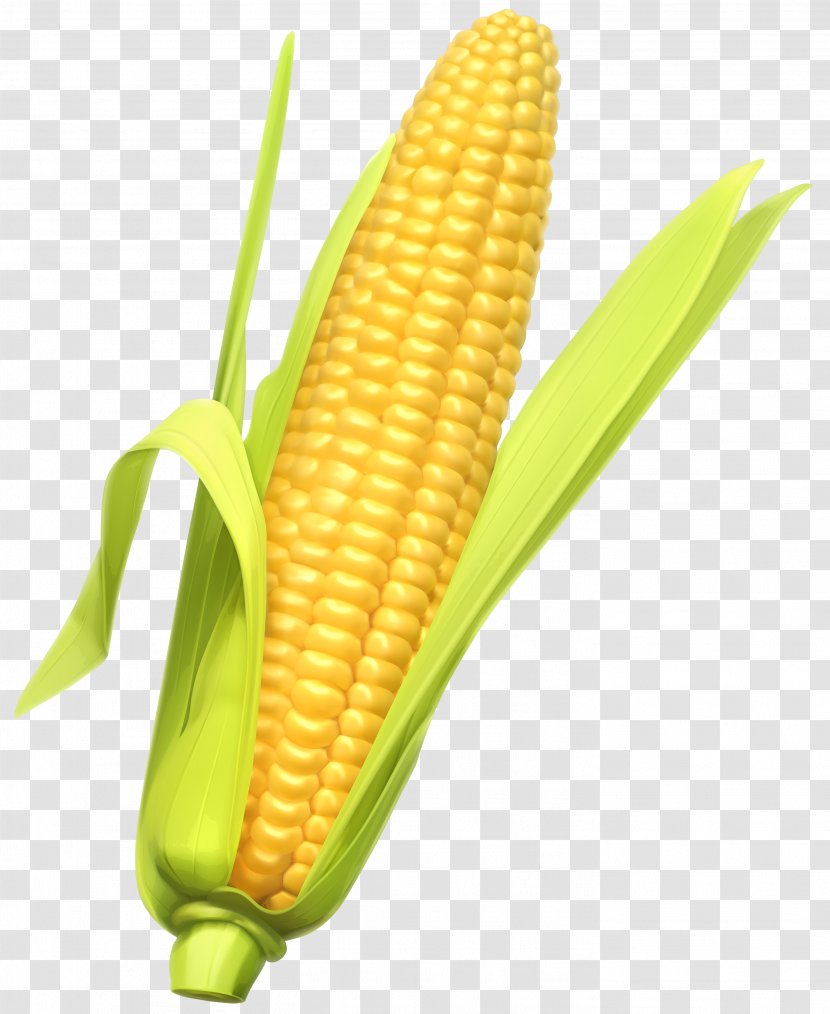 Corn On The Cob Maize Vegetable Clip Art - Kernels Transparent PNG