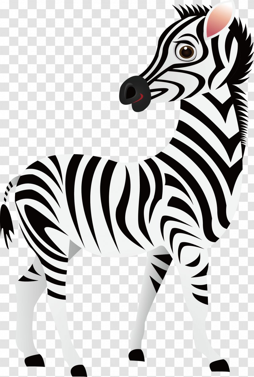 Cartoon Zebra Clip Art - Animation - Vector Transparent PNG