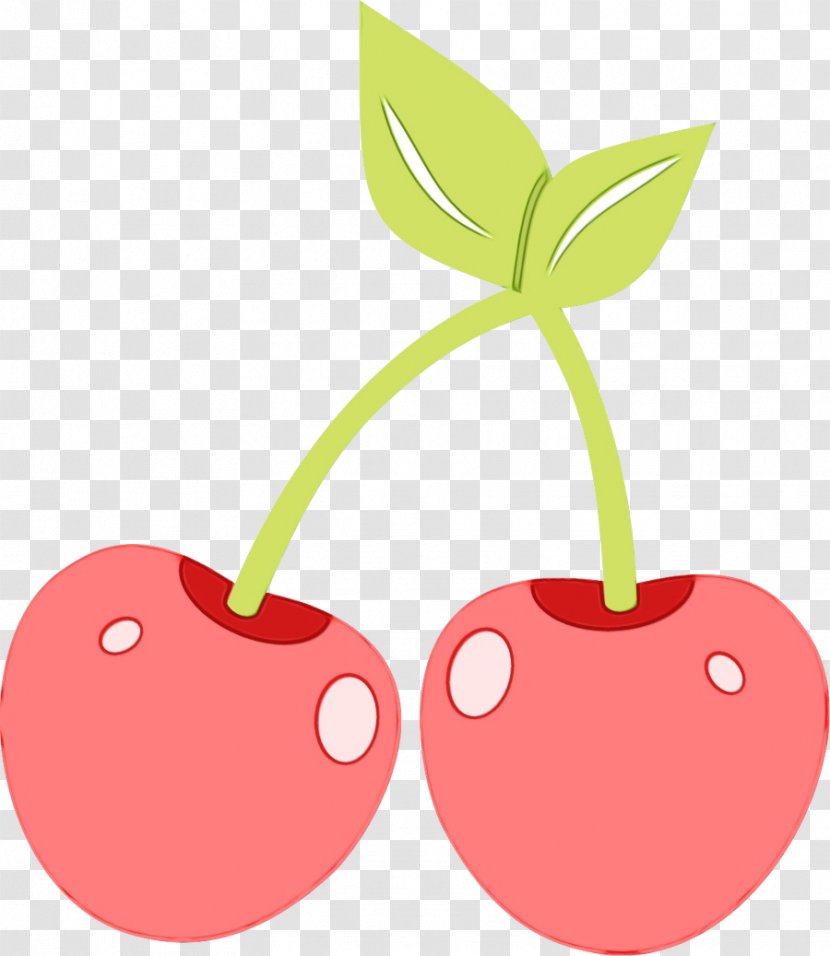 Fruit Cartoon - Prunus Drupe Transparent PNG