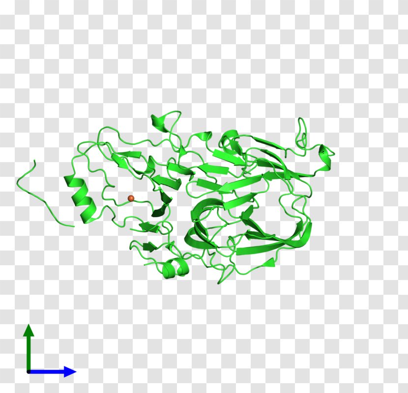 Illustration Product Design Clip Art Logo - Organism - Green Transparent PNG