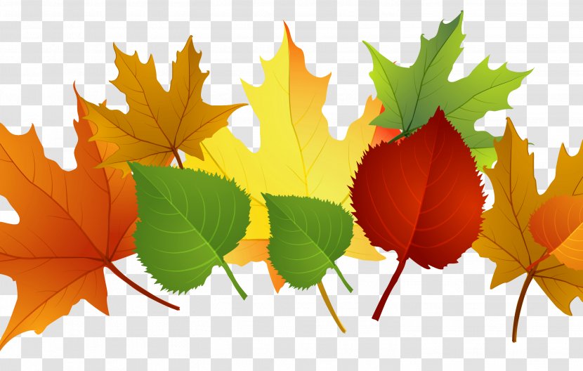 Autumn Leaf Color Clip Art - Leaves Transparent PNG