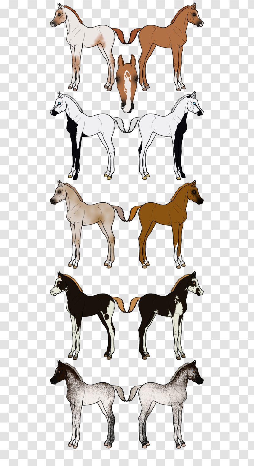 Mustang Cattle Goat Pack Animal Deer - Arabian Horse Transparent PNG