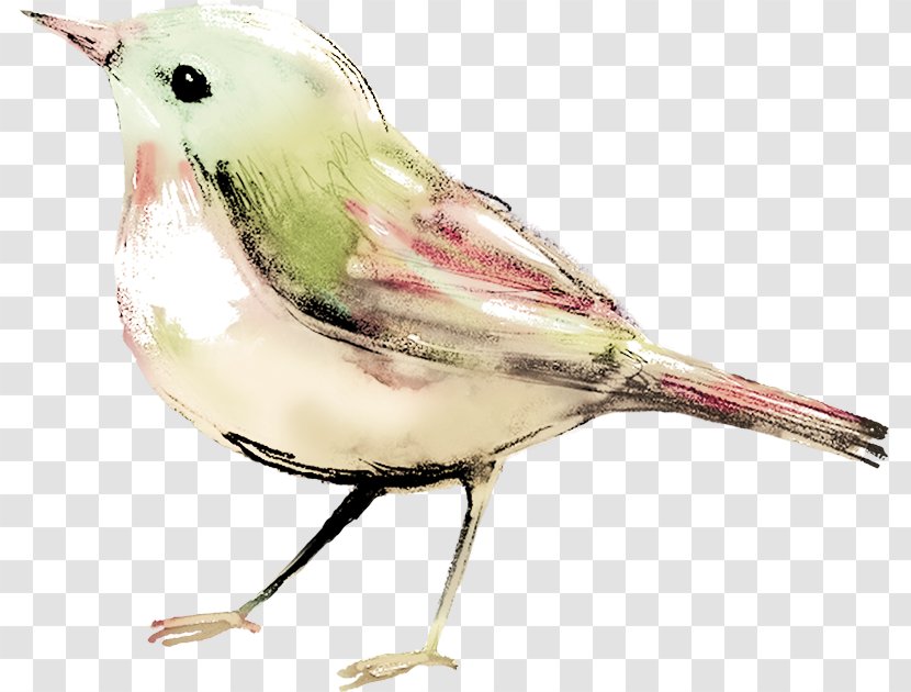 Bird Watercolor Painting Clip Art Transparent PNG