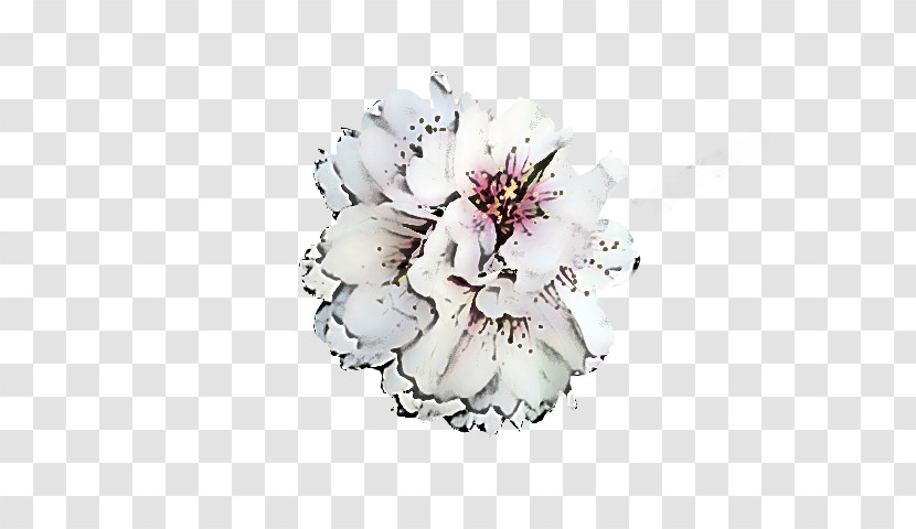 Floral Design Transparent PNG