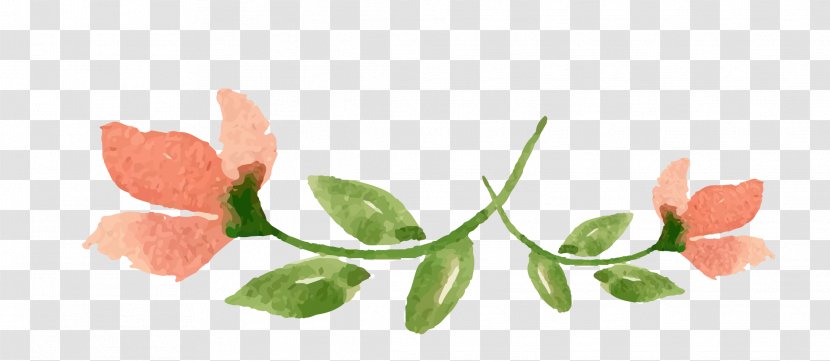 Watercolor Painting Flower Valentines Day - Leaf - Valentine's Flowers Transparent PNG