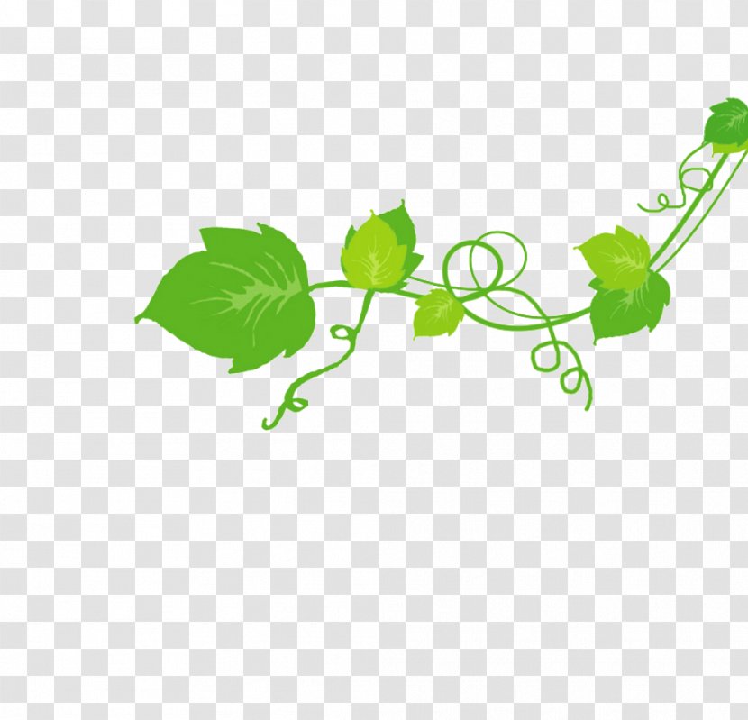 Leaf Clip Art Green Product Design Plant Stem - Tree Transparent PNG