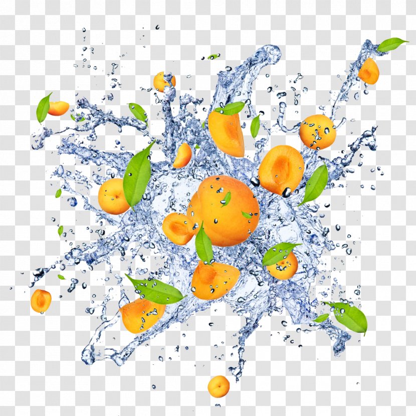Stock Photography Image Orange Price Fruit - Water - Buahan Map Transparent PNG