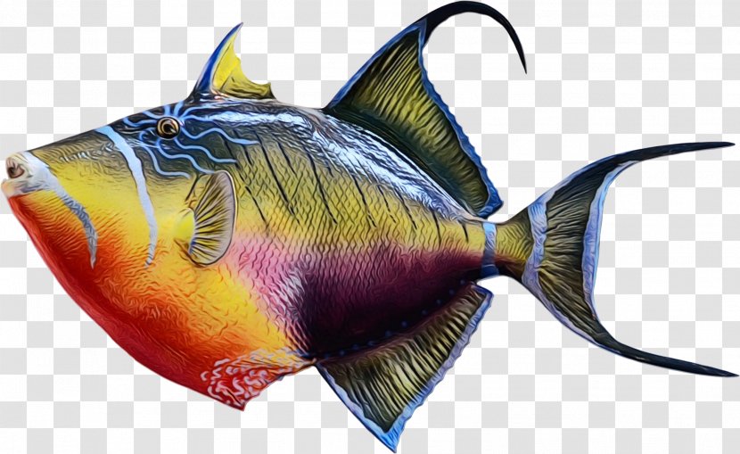 Coral Reef Background - Tropical Fish - Parrotfish Bonyfish Transparent PNG