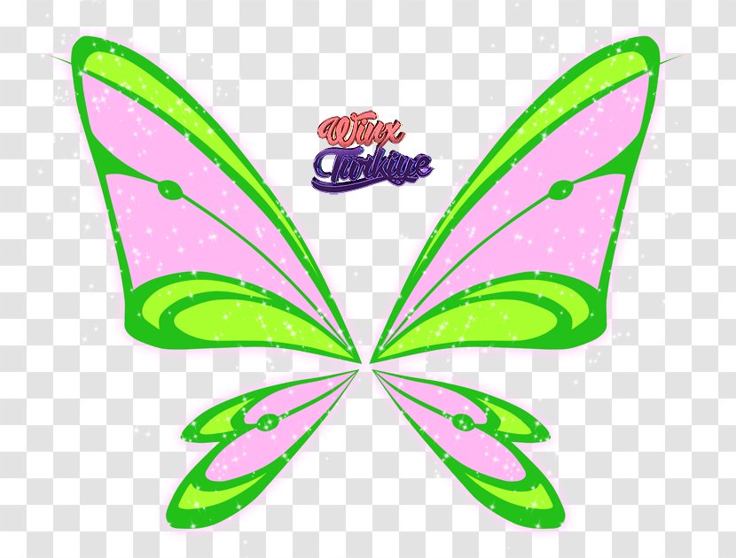 Stella Bloom Flora Roxy Musa - Fairy - Insect Transparent PNG
