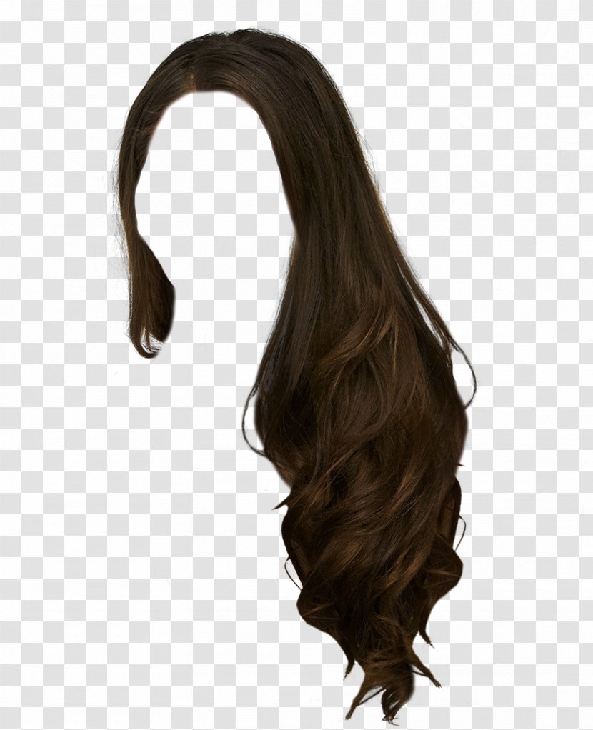 Hair Wig Hairstyle Brown Long - Liver Costume Transparent PNG