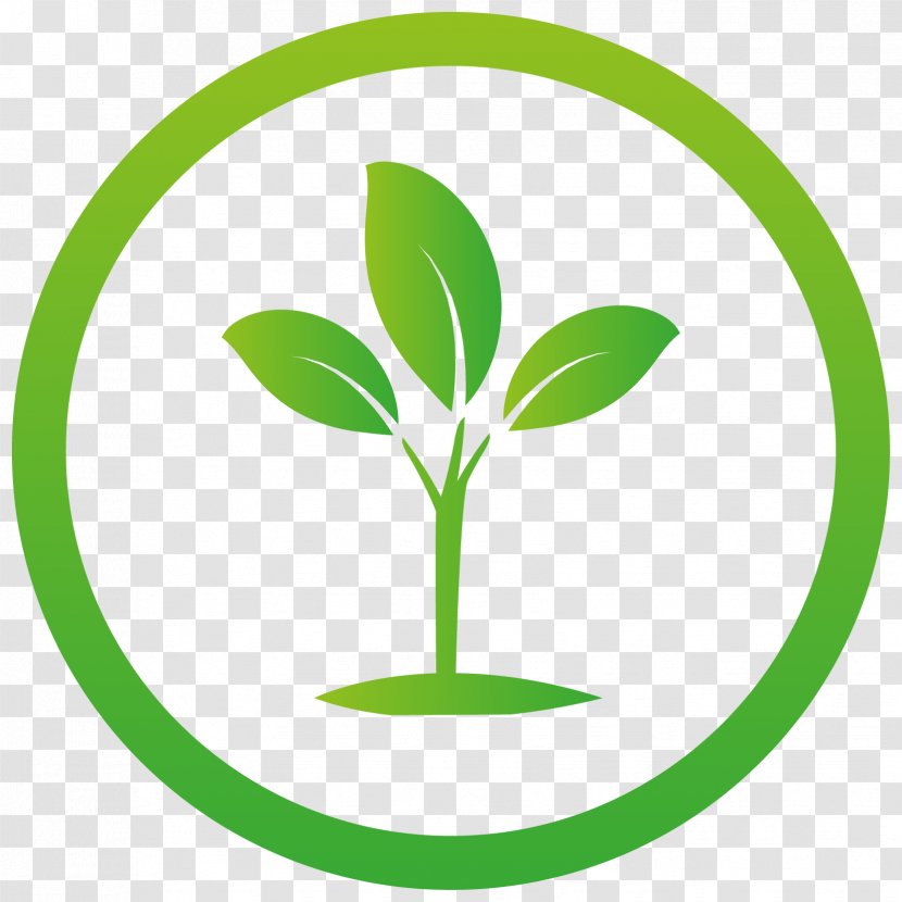 Seedling Leaf Succulent Plant Plants - Growing Icon Transparent PNG
