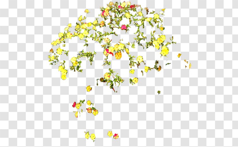 Petal Cut Flowers Floral Design - Flower Transparent PNG