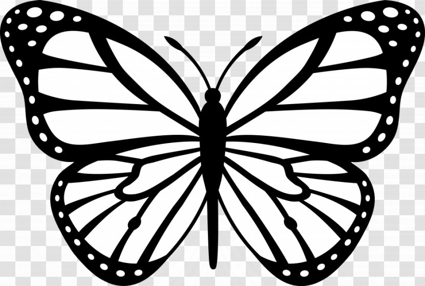 Monarch Butterfly Outline Clip Art - Caterpillar - Cartoon Transparent PNG