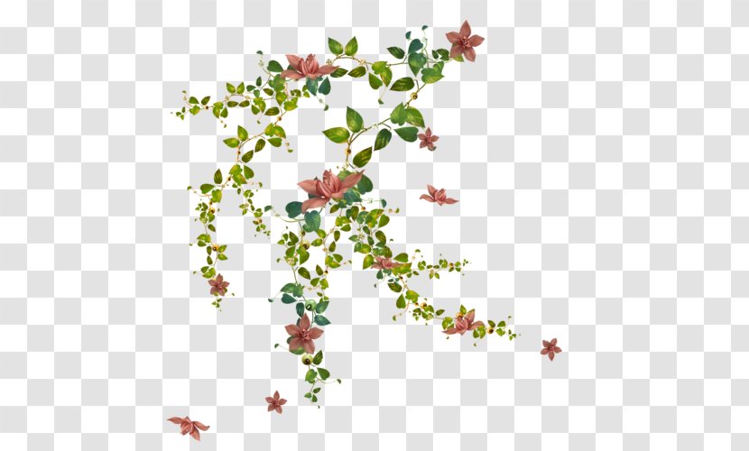 Flower Clip Art - Plant Transparent PNG