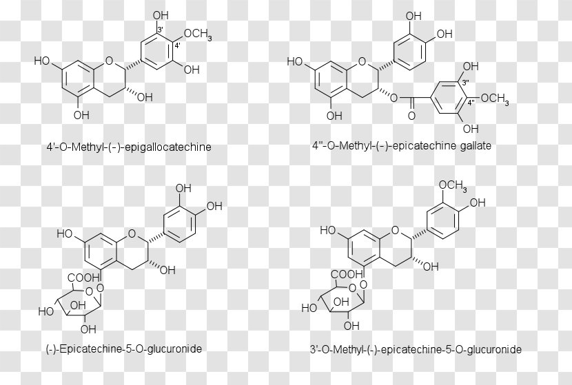 Chalcone Flavanone Aurone Flavonoid Chemical Substance - Anthocyanin - Auto Part Transparent PNG