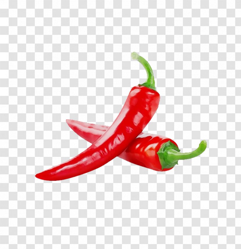 Malagueta Pepper Chili Tabasco Serrano Peperoncini - Vegetable Bell Peppers And Transparent PNG