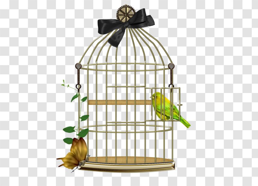 Birdcage Lovebird - Bird Of Prey Transparent PNG