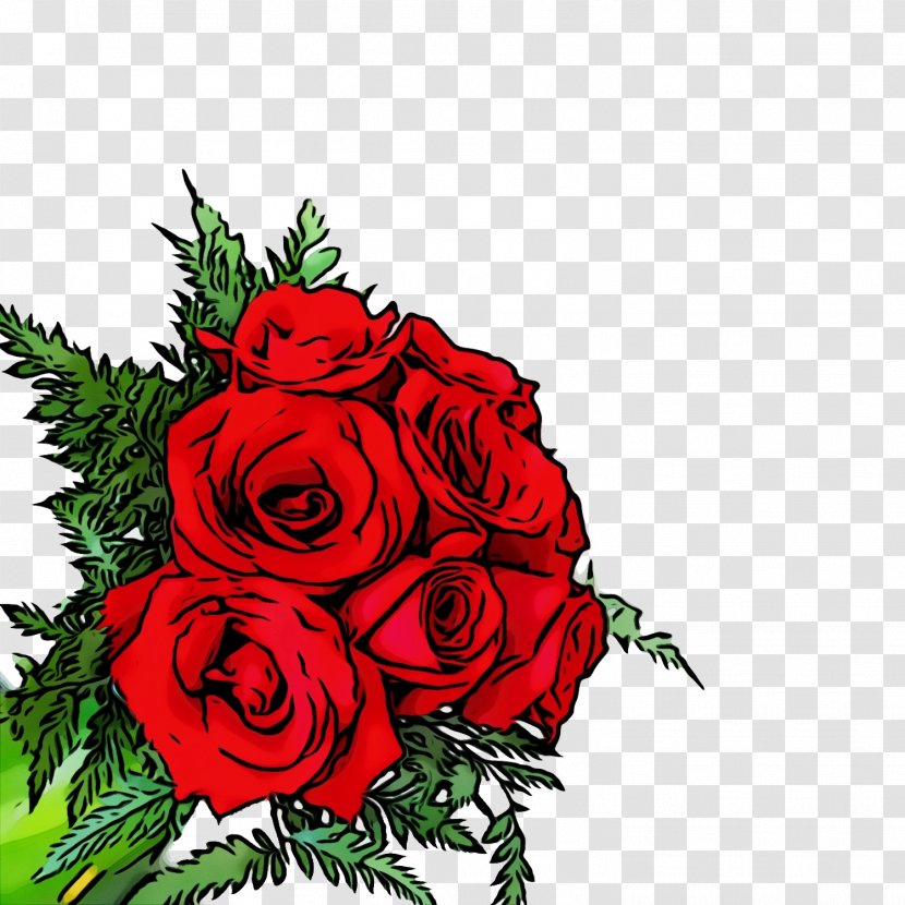 Garden Roses - Plant - Rose Order Flowering Transparent PNG