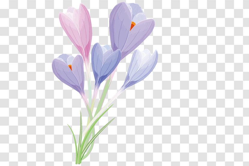 Greeting Card Flower - Purple - Bouquet Transparent PNG