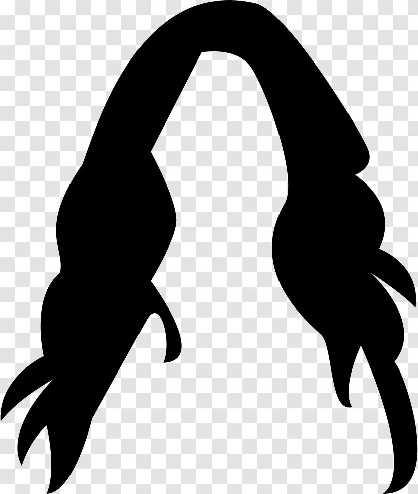 Wig Hairstyle Clip Art - Beak - Hair Transparent PNG