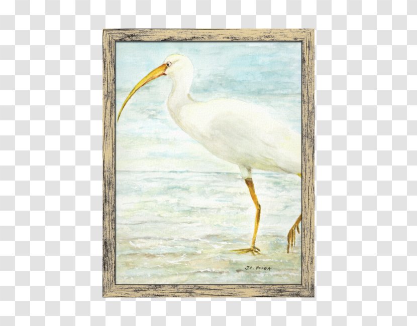 Great Egret Bird Painting Wader Ibis - Crane Transparent PNG