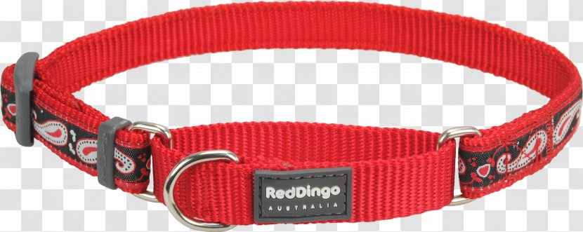 Dog Collar Dingo Clothing Accessories Strap - Millimeter - Red Transparent PNG