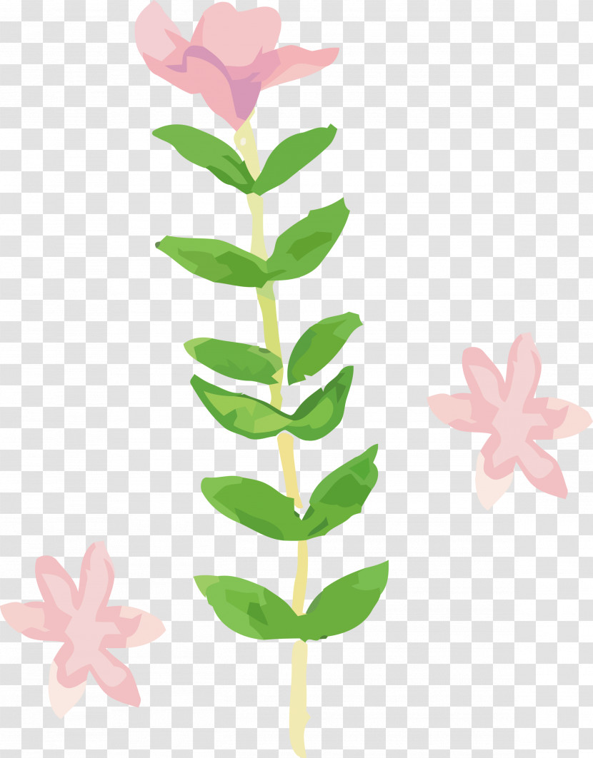 Flower Leaf Plant Pink Pedicel Transparent PNG