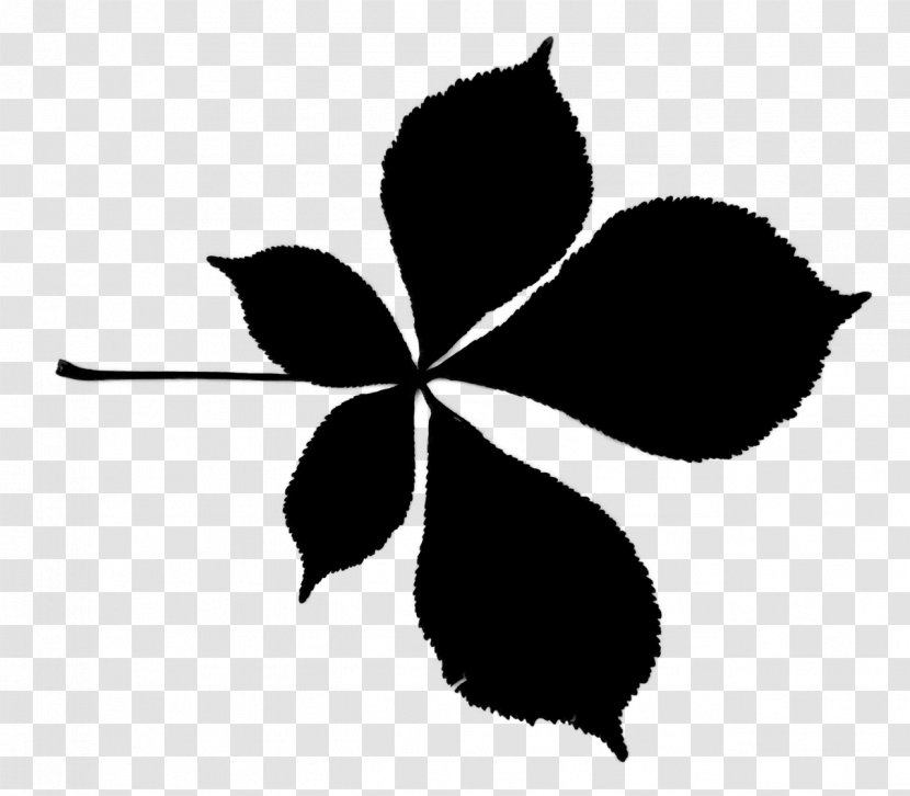 Black & White - Plants - M Clip Art Flower Silhouette Leaf Transparent PNG