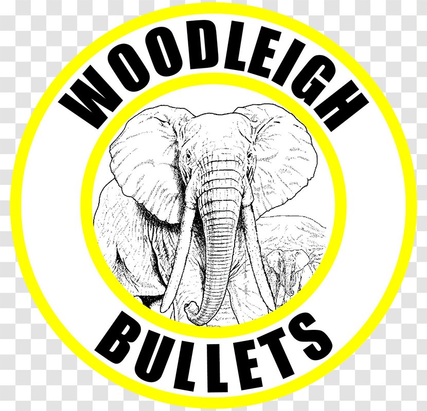 Indian Elephant Bullet African Handloading .500 Black Powder Express - Wildlife - Impact Transparent PNG
