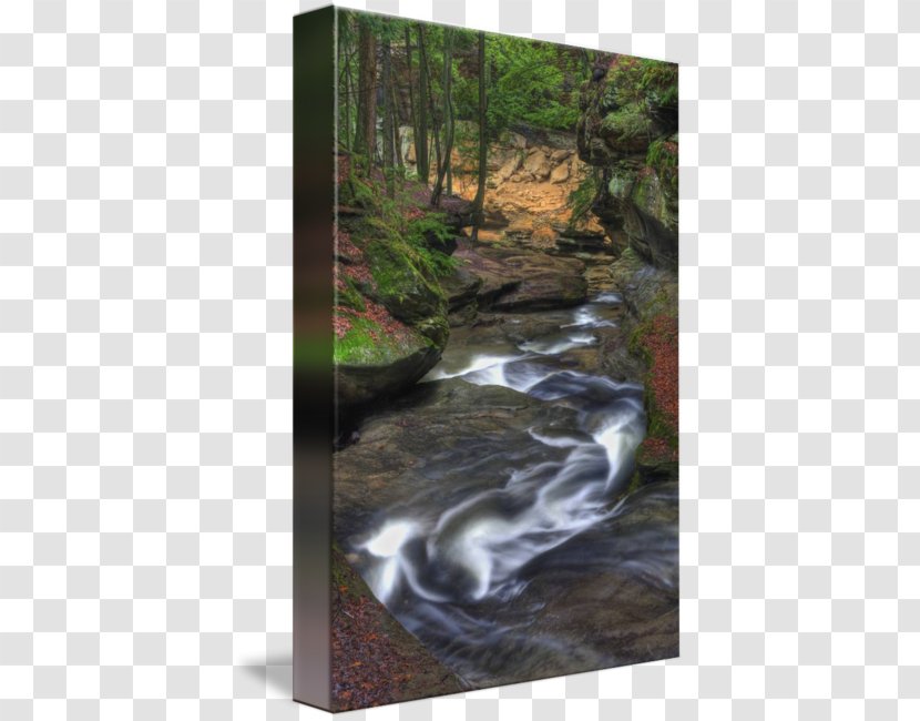 Hocking Hills State Park Waterfall Drawing Nature - Forest - Water Feature Transparent PNG