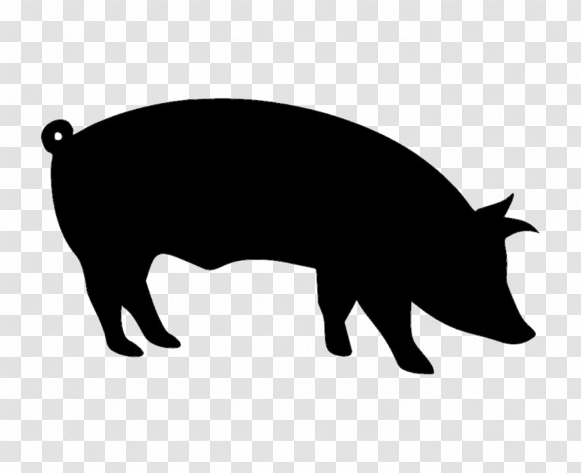Pig Cartoon - Livestock Snout Transparent PNG