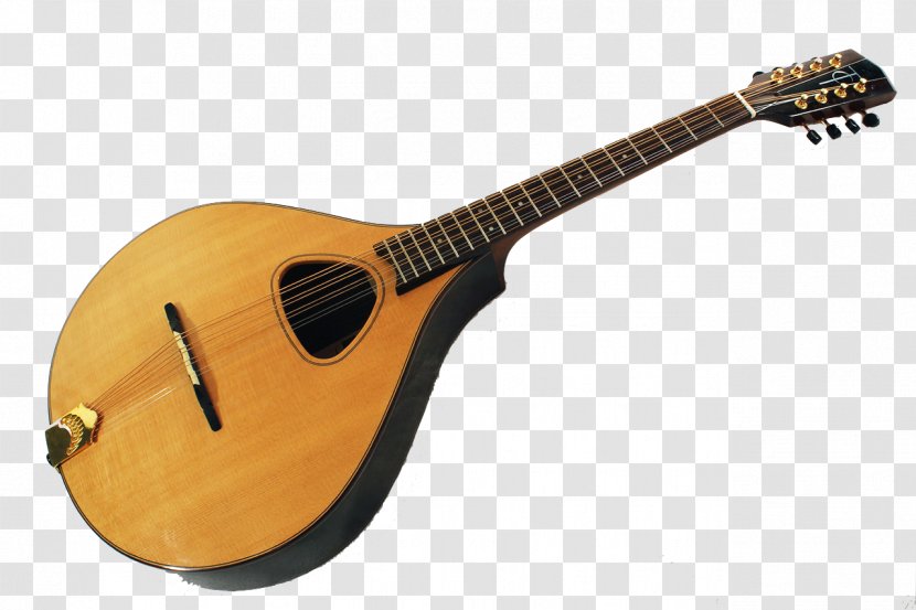 Acoustic Guitar Mandolin Tiple Cuatro Uilleann Pipes - Flower Transparent PNG