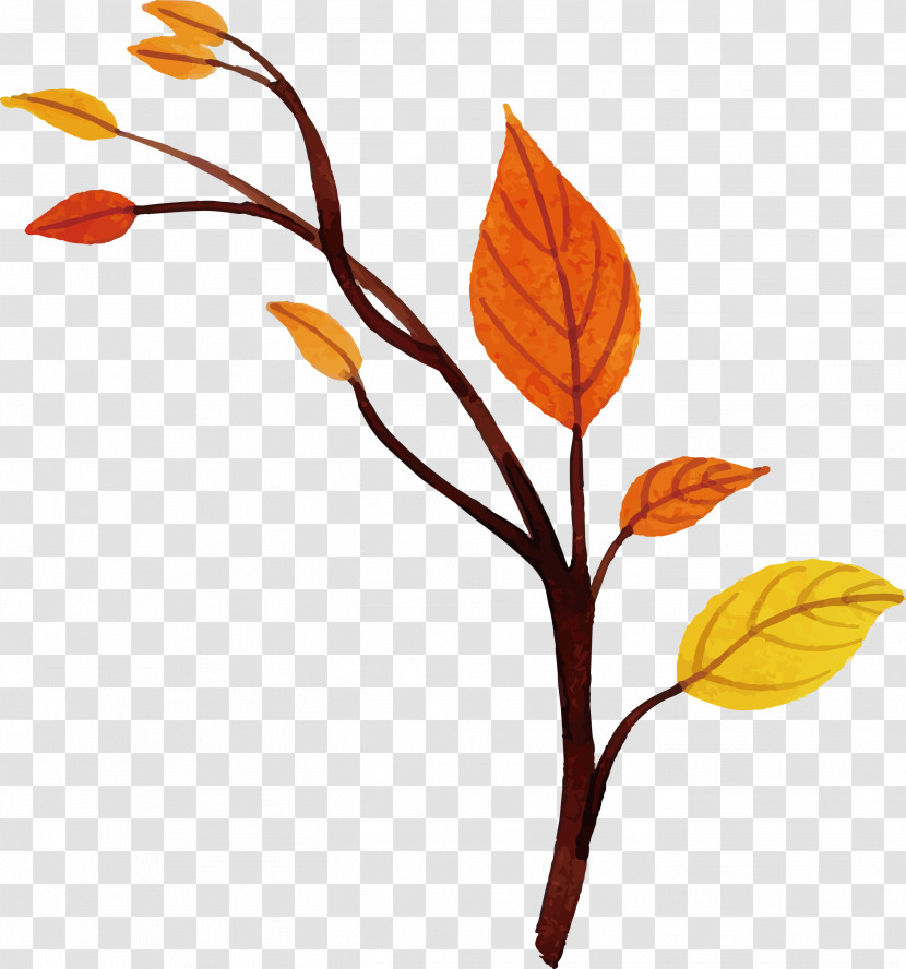 Autumn Leaf Transparent PNG