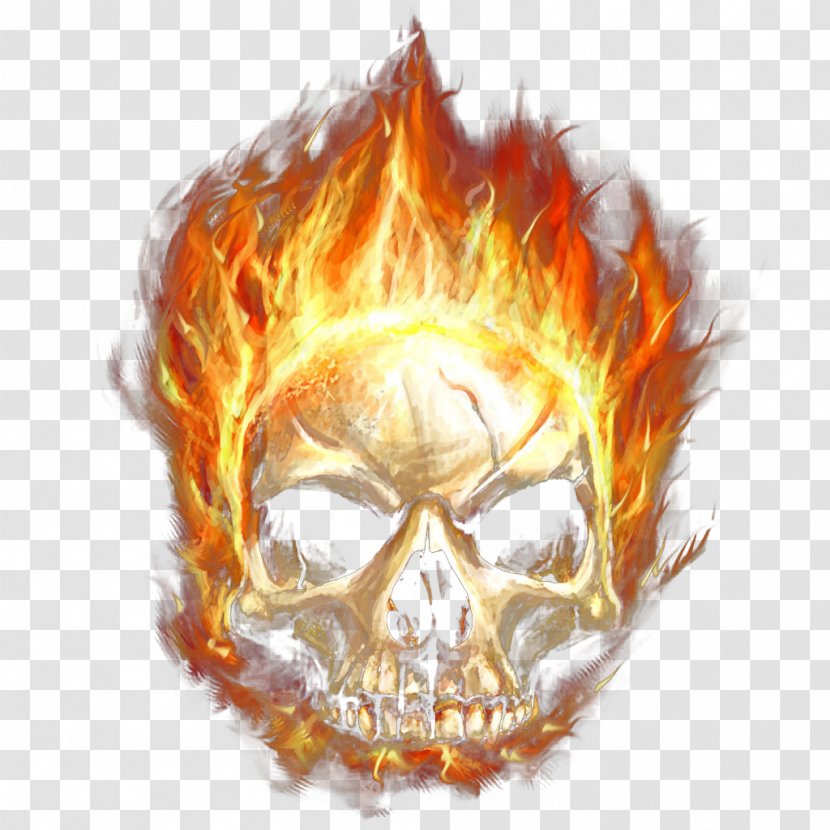 Calavera Skull Flame Fire - Joint - Textured Element Transparent PNG