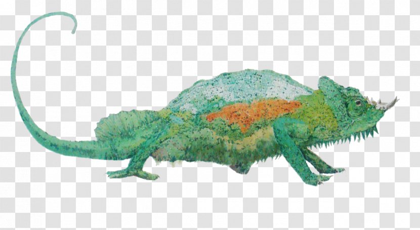 Chameleons Painting Illustration - Organism - Painted Green Chameleon Transparent PNG