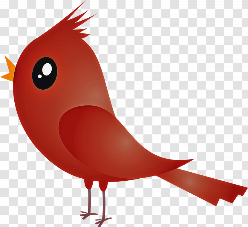 Bird Red Beak Cartoon Cardinal Transparent PNG