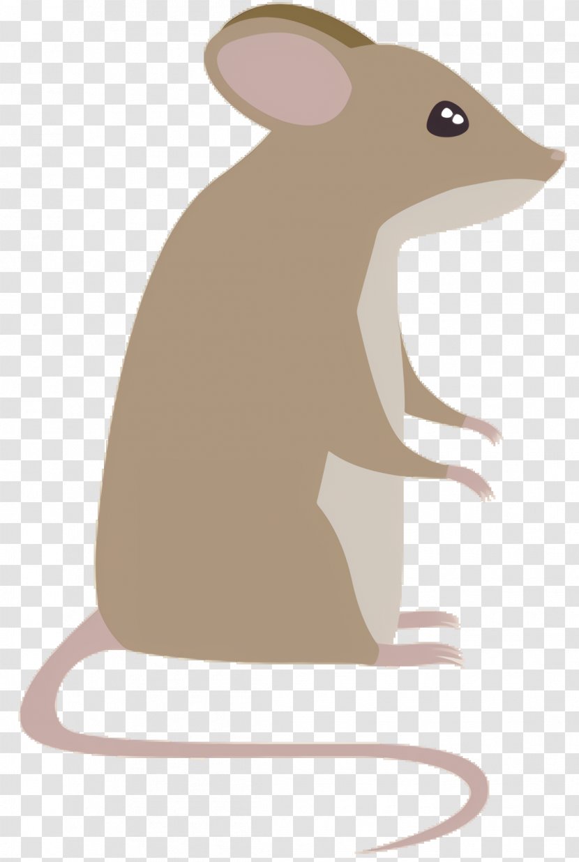 Cartoon Mouse - Snout - Tail Gerbil Transparent PNG