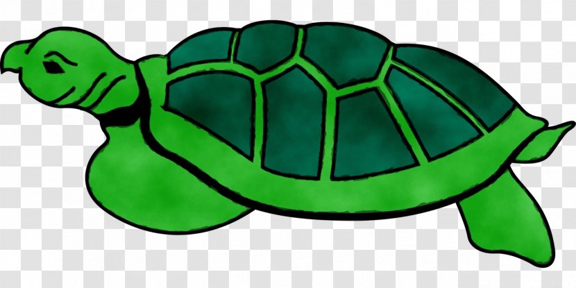 Modern Sea Turtles Reptile Clip Art Tortoise - Spotted Turtle - Pond Transparent PNG