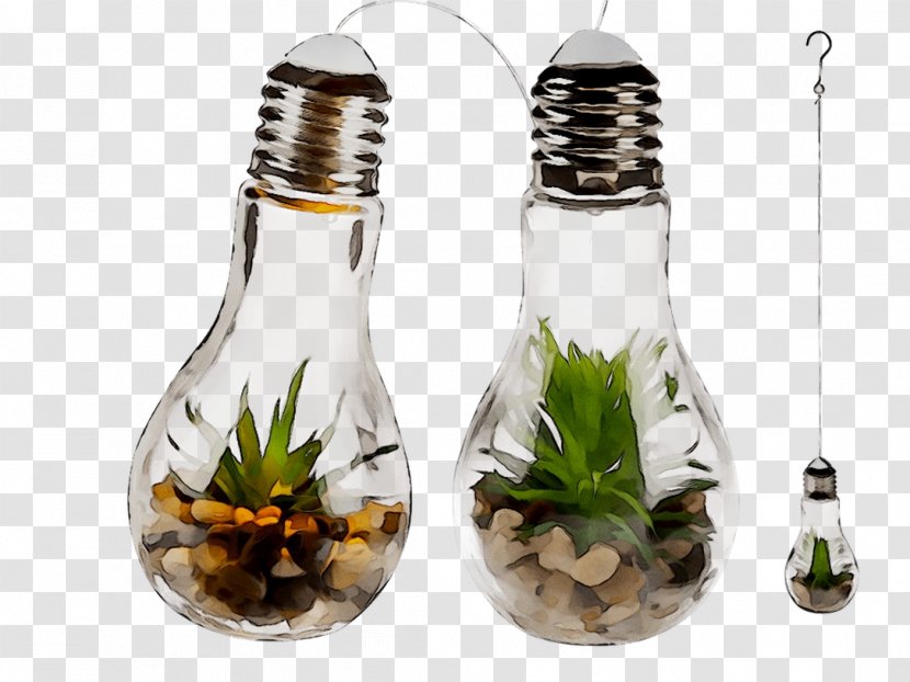 Glass Bottle Salt & Pepper Shakers Plants Transparent PNG