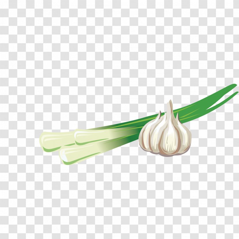 Garlic And - Material - Food Transparent PNG