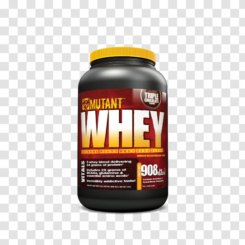 Dietary Supplement Whey Protein Bodybuilding - Brand Transparent PNG