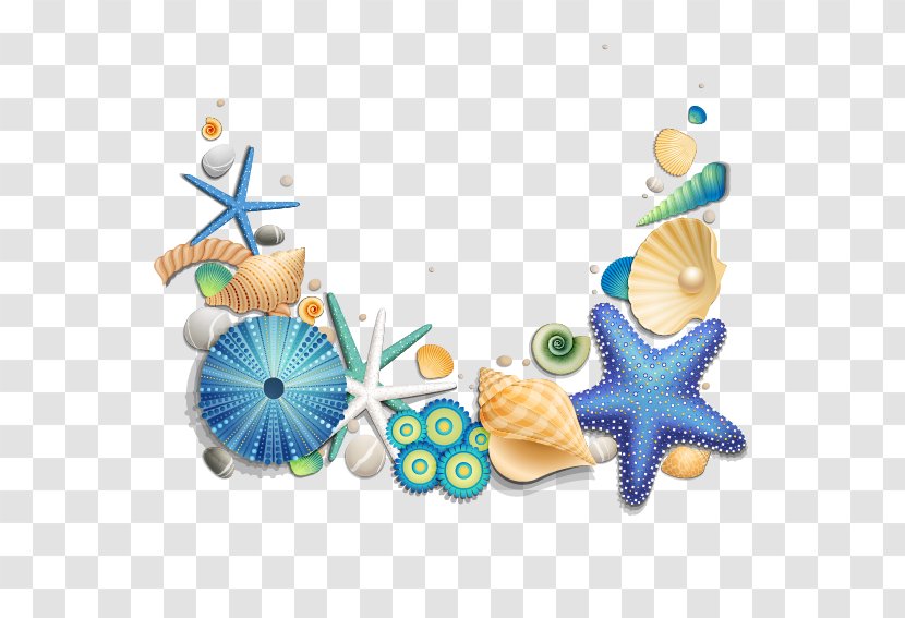 Seashell Download - Turquoise - Blue Starfish And Shells Transparent PNG