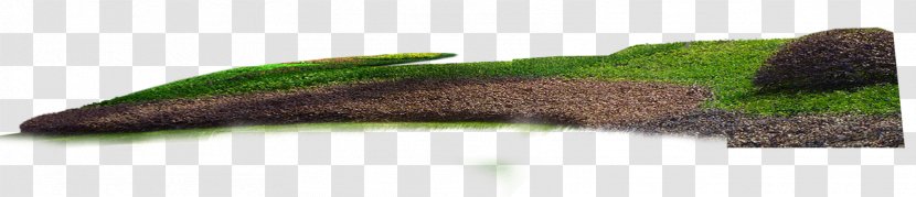 Purple Angle Tail Beak - Plant Green Belt Transparent PNG