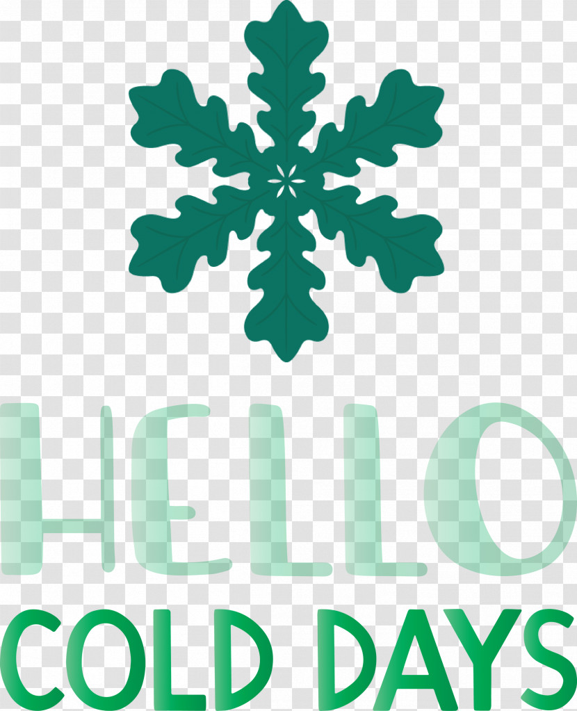 Hello Cold Days Winter Snow Transparent PNG