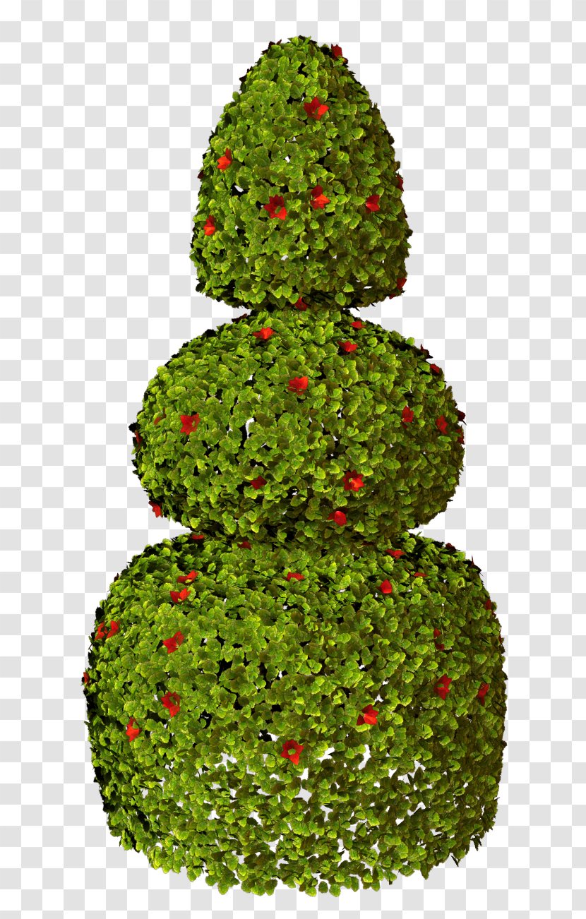 Image Tree Design Green - Fir - Christmas Day Transparent PNG