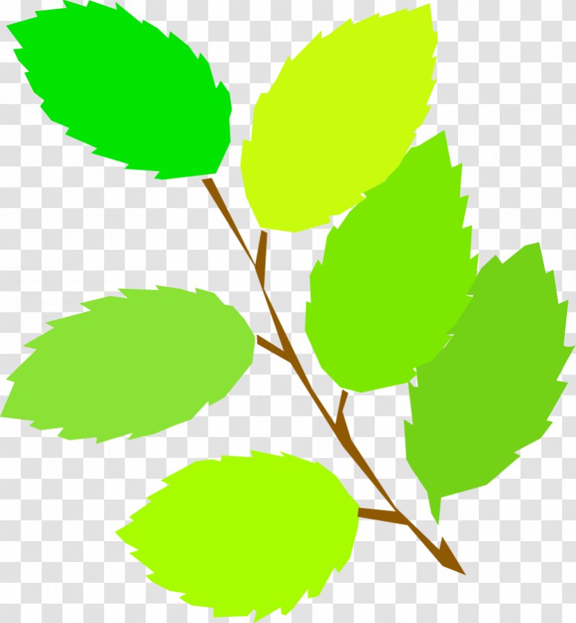 Spring Clip Art - Scalable Vector Graphics - Big Leaves Cliparts Transparent PNG